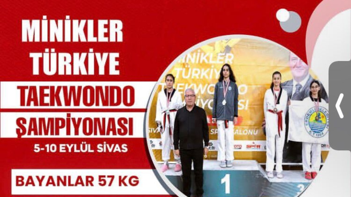 Türkiye Taekwondo Türkiye 3.lüğü